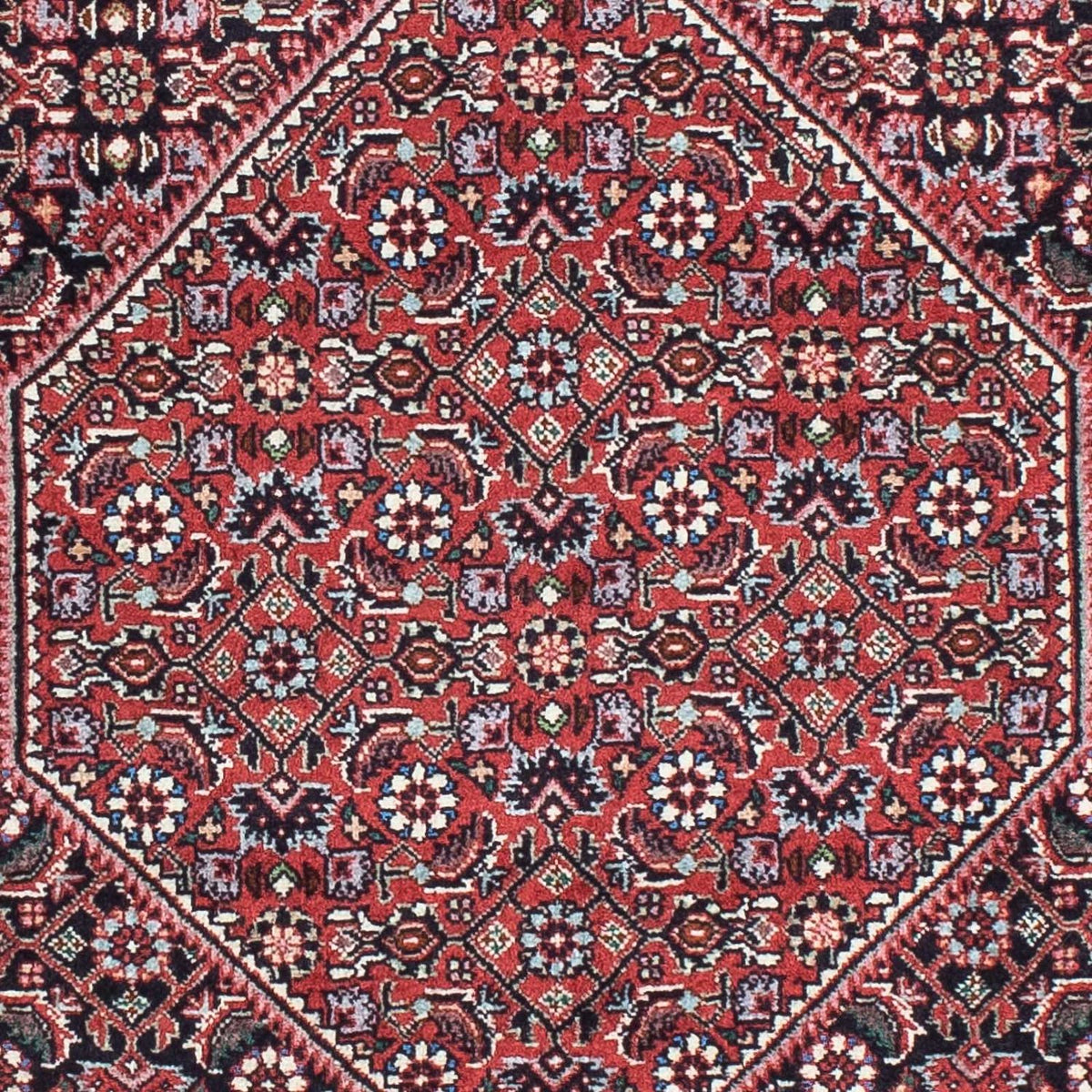 Perserteppich - Bidjar - Royal 197 x 72 cm