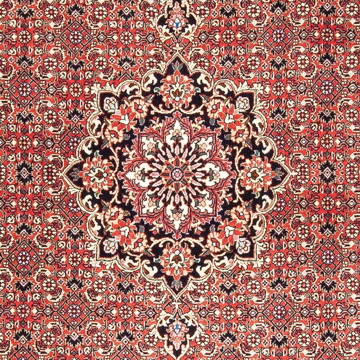 Perserteppich - Bidjar - Royal 182 x 110 cm Teppichbrücke