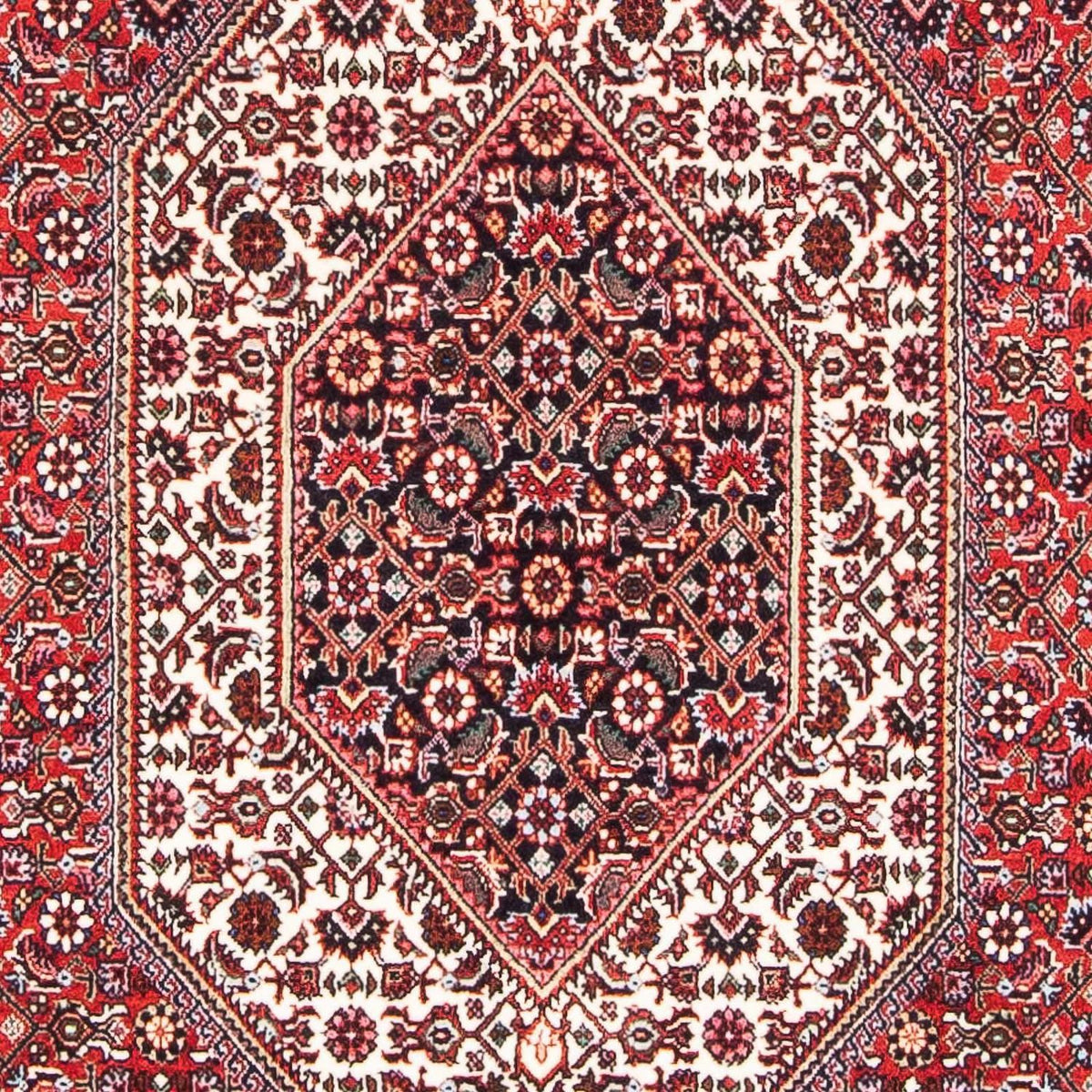 Perserteppich - Bidjar - Royal 189 x 109 cm