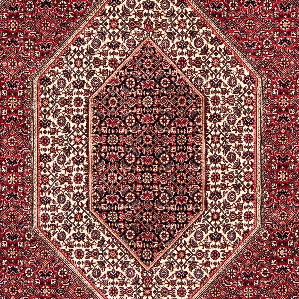 Perserteppich - Bidjar 250 x 171 cm
