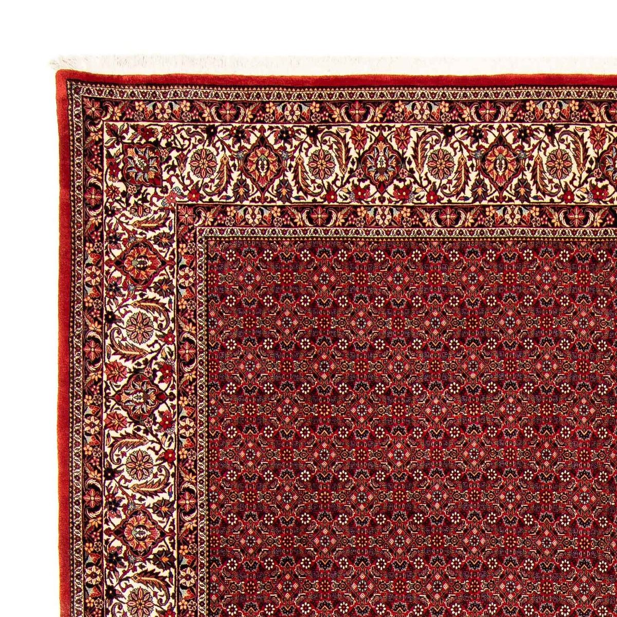 Perserteppich - Bidjar 400 x 308 cm