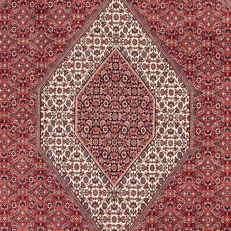 Perserteppich - Bidjar 305 x 253 cm