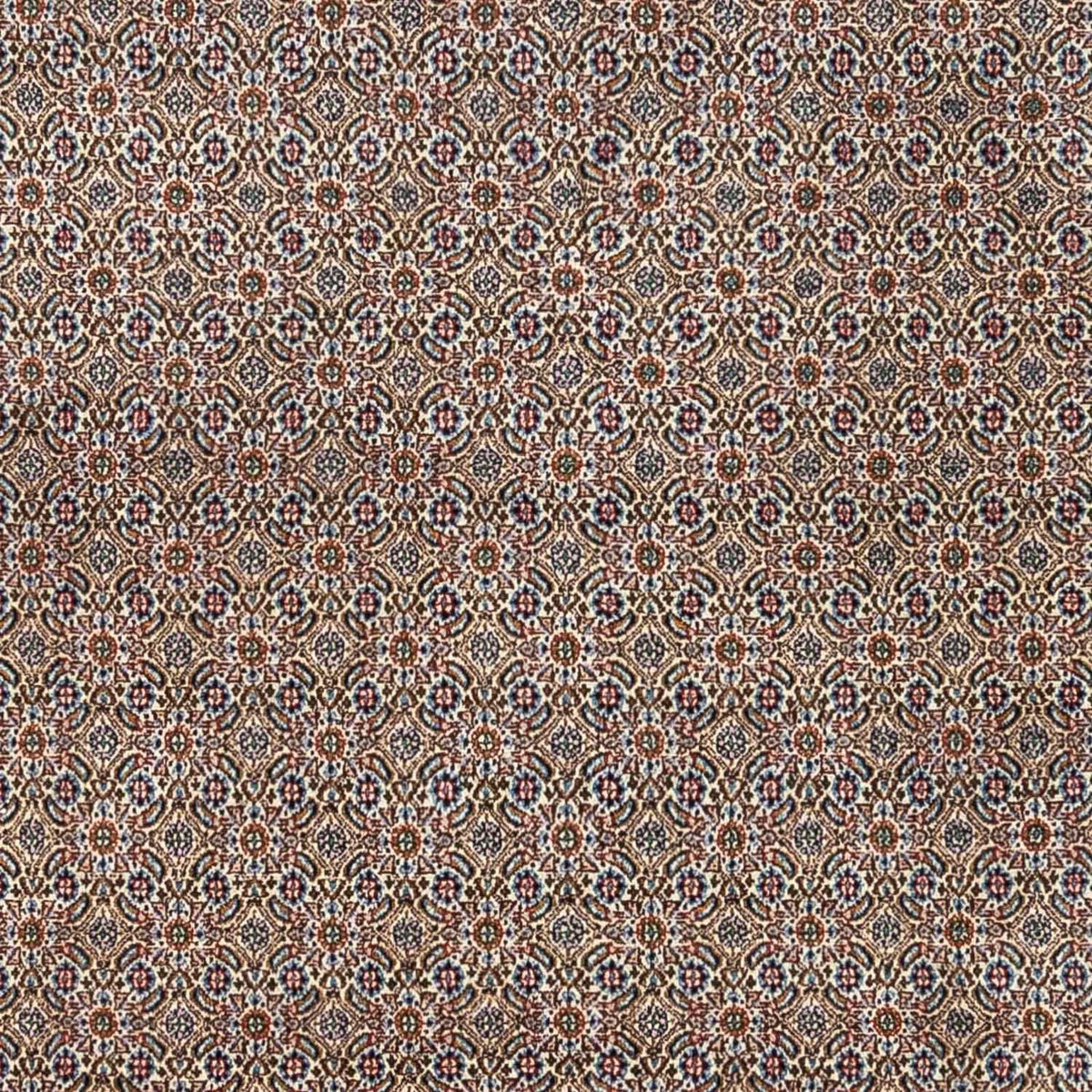 Perserteppich - Classic 334 x 248 cm