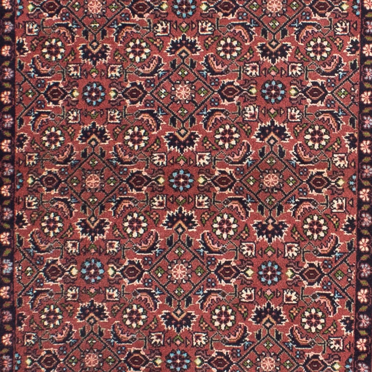 Perserteppich - Bidjar 290 x 84 cm