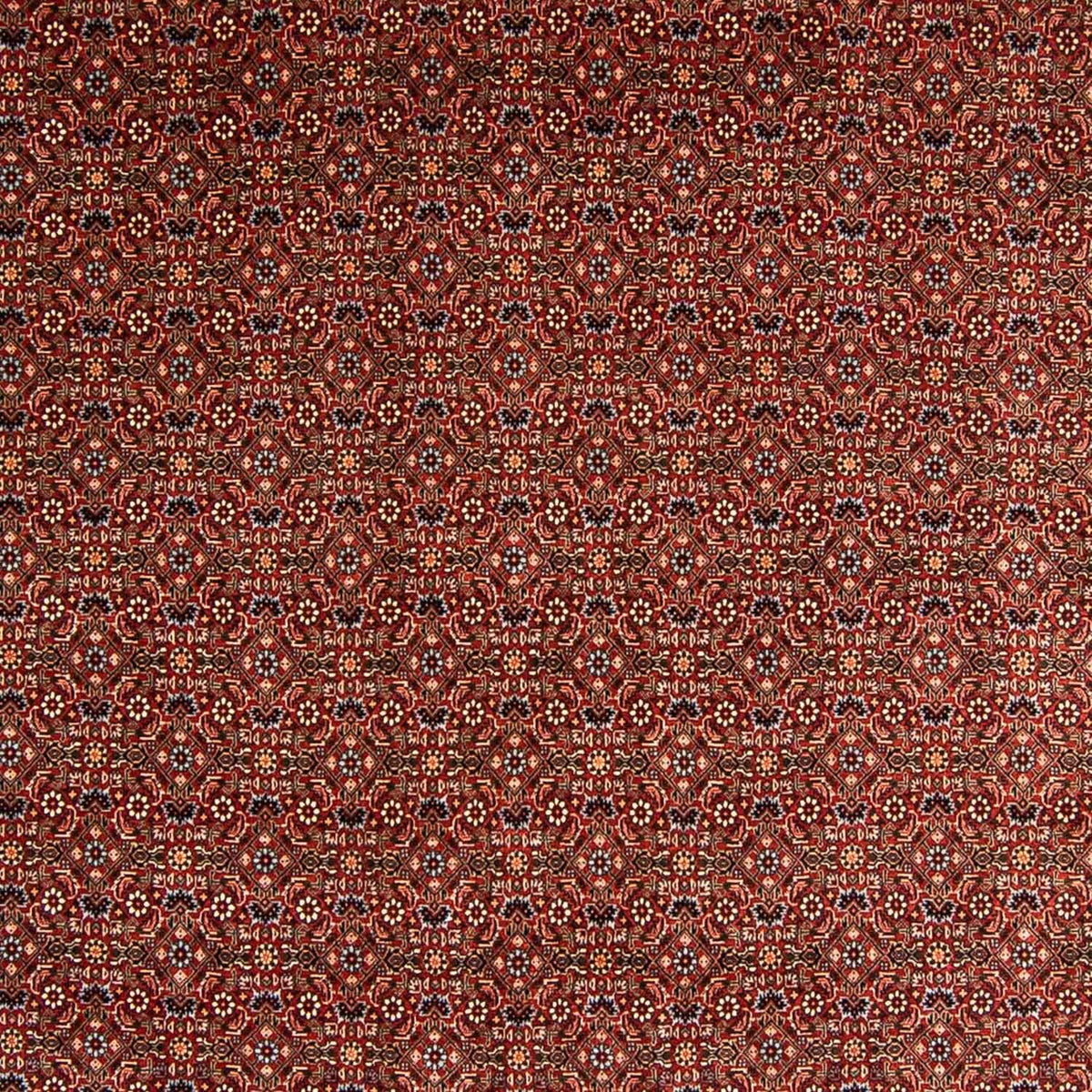 Perserteppich - Bidjar 340 x 254 cm