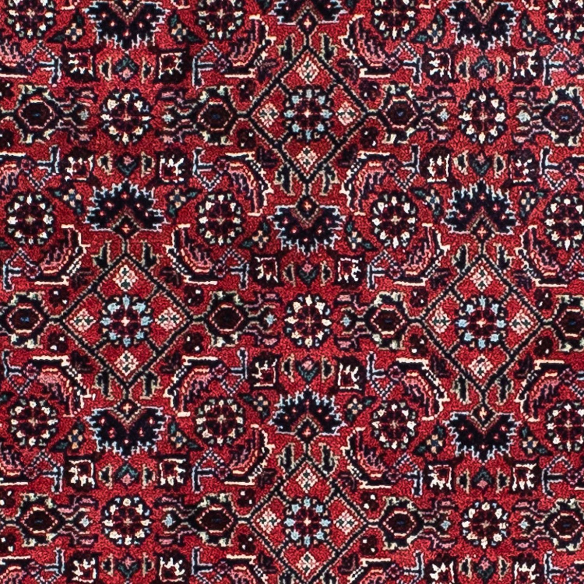 Perserteppich - Bidjar 207 x 132 cm