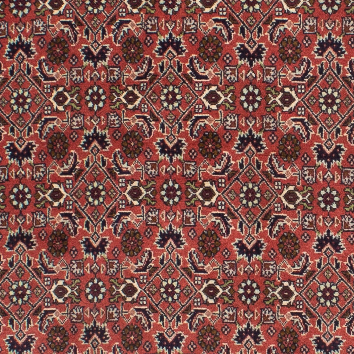 Perserteppich - Bidjar 291 x 84 cm