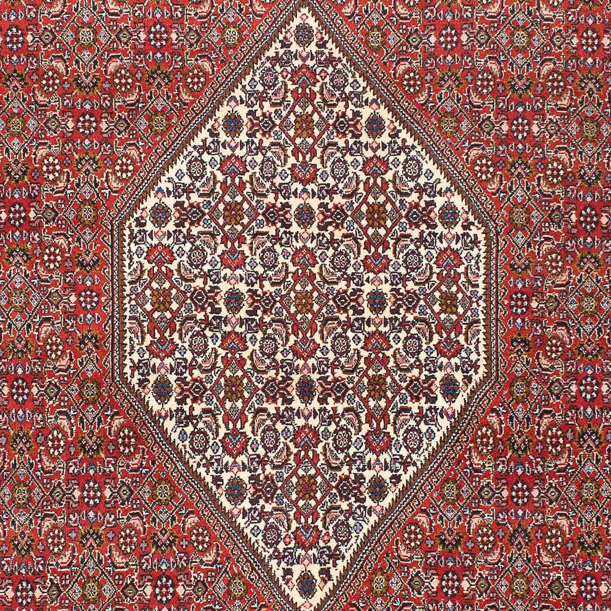 Perserteppich - Bidjar 225 x 136 cm