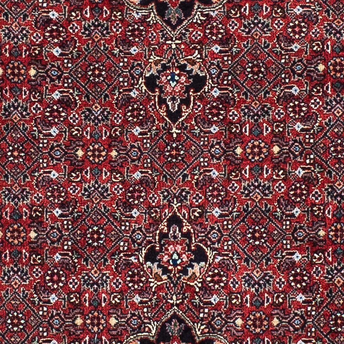 Perserteppich - Bidjar - Royal 203 x 100 cm Teppichläufer