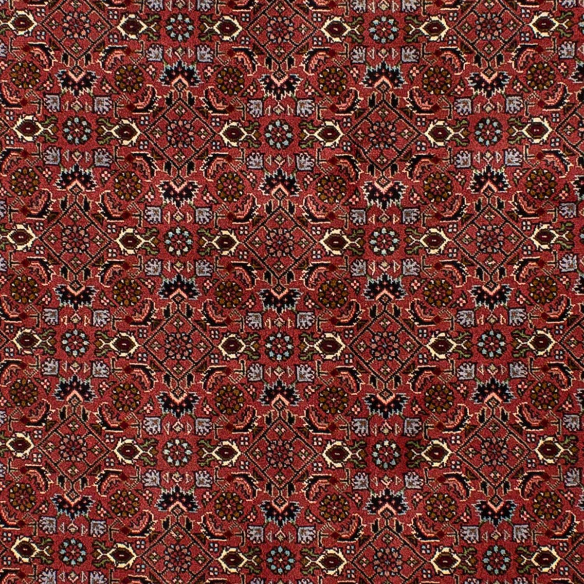 Perserteppich - Bidjar 205 x 136 cm