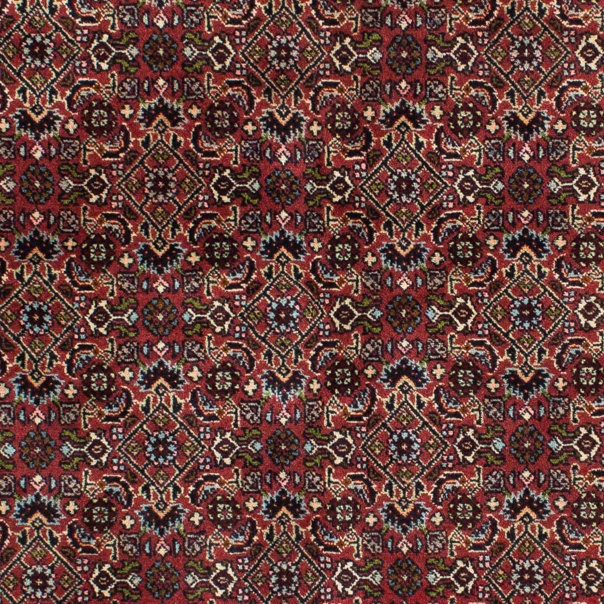Perserteppich - Bidjar 205 x 141 cm - rot
