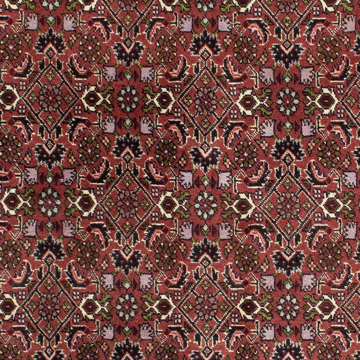 Perserteppich - Bidjar 208 x 139 cm - rot