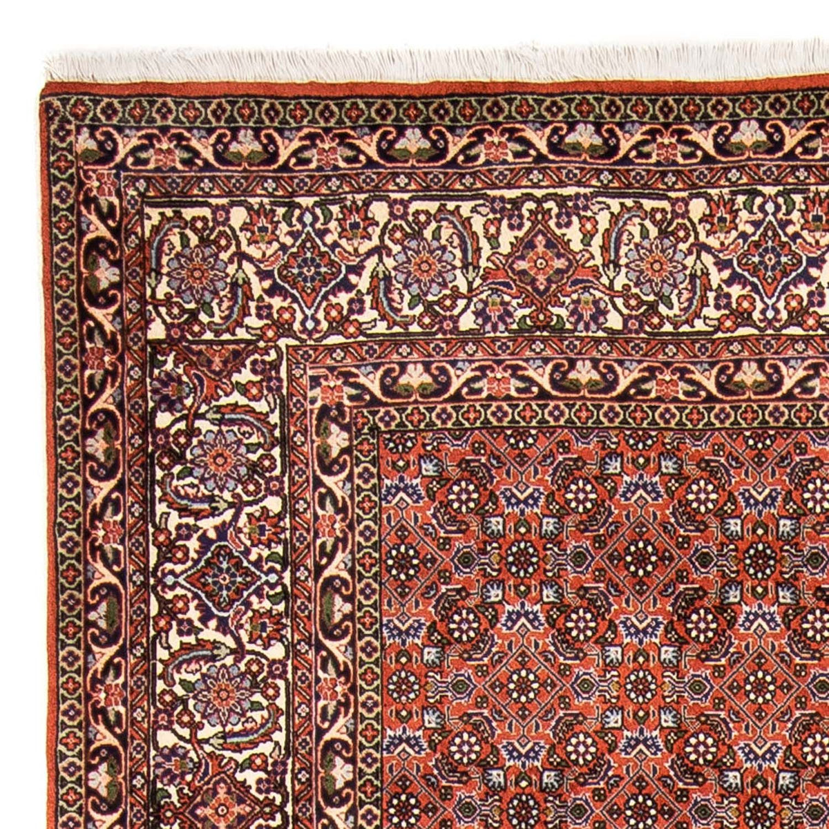 Perserteppich - Bidjar 237 x 168 cm