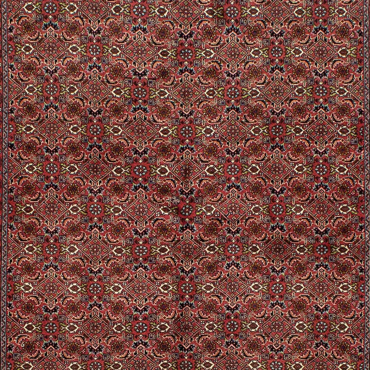 Perserteppich - Bidjar 246 x 170 cm - dunkelrot