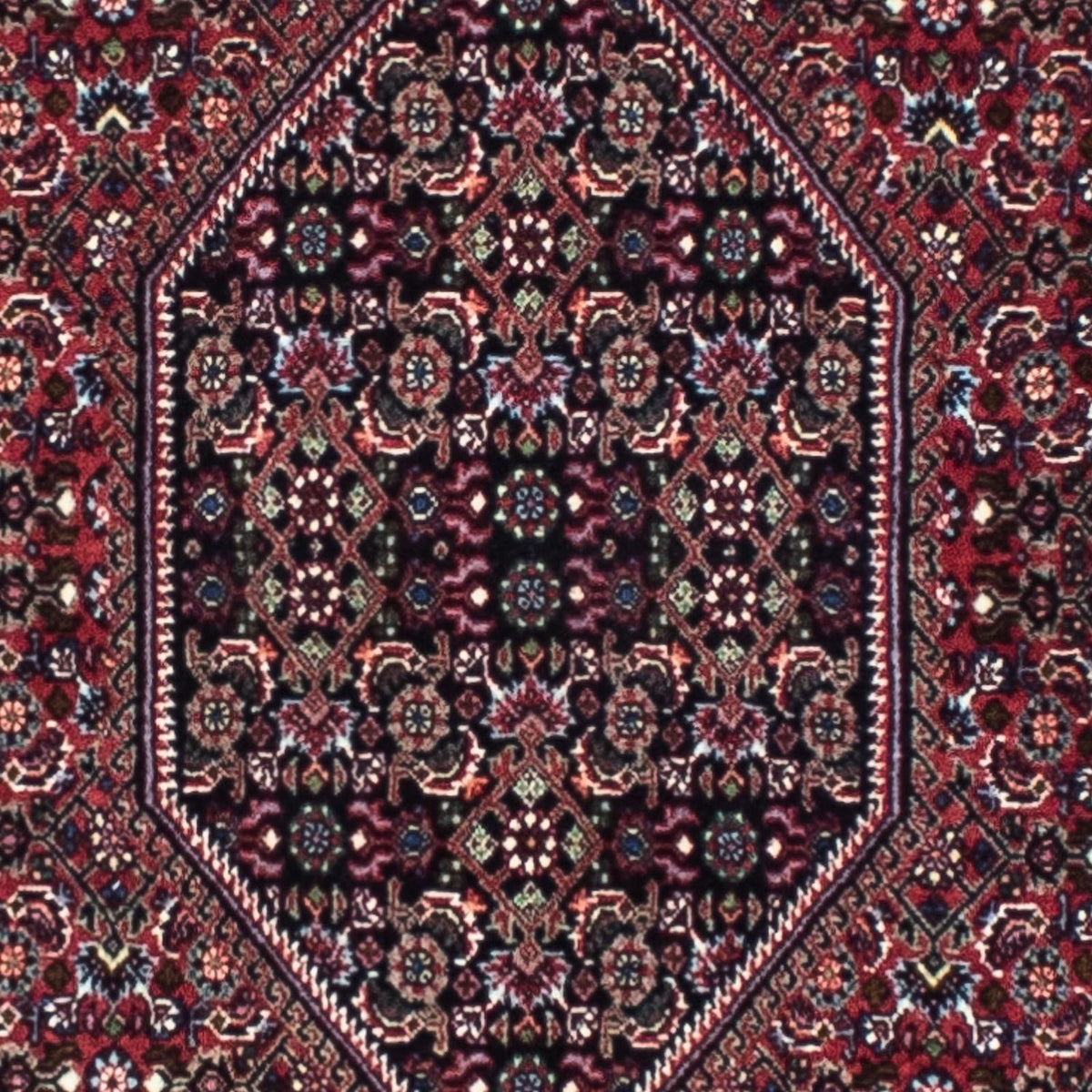 Perserteppich - Bidjar - Royal 253 x 72 cm