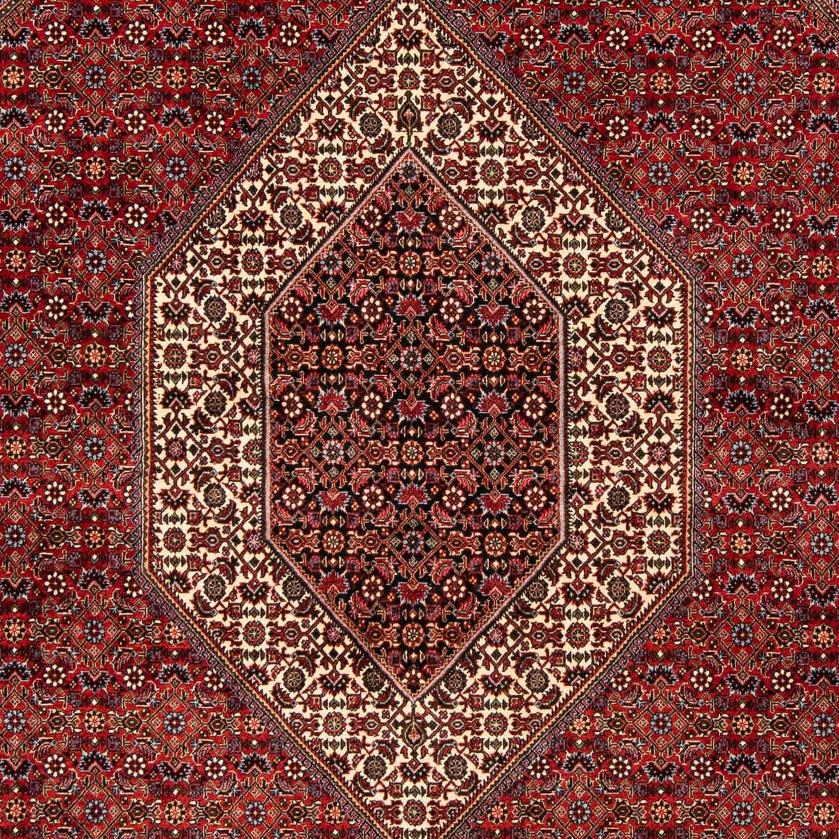 Perserteppich - Bidjar 244 x 200 cm Wohnzimmer Teppich