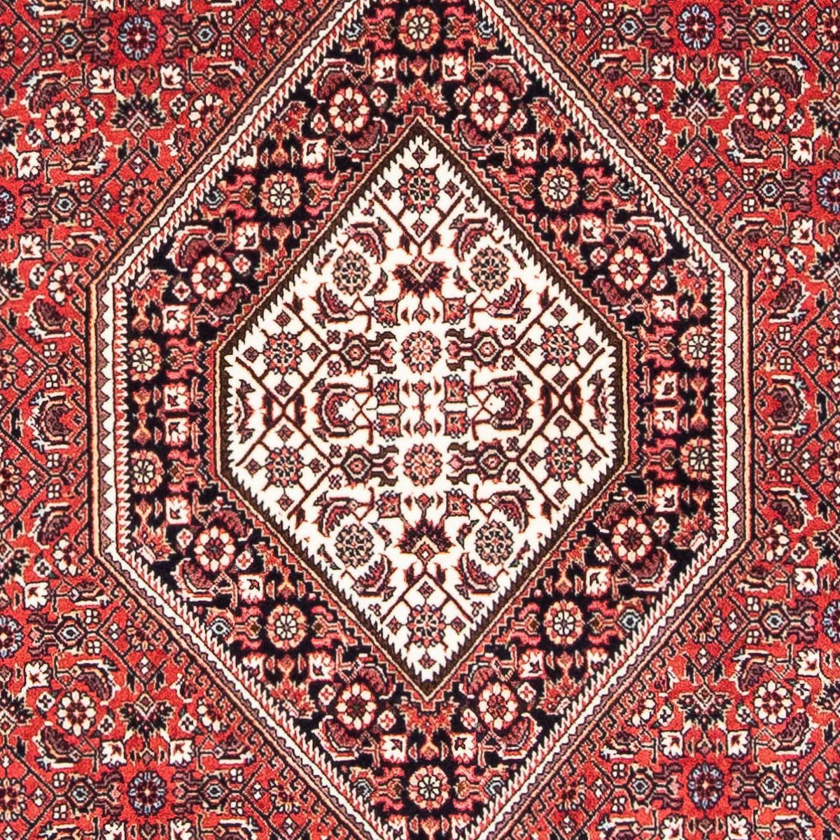 Perserteppich - Bidjar - Royal 174 x 110 cm