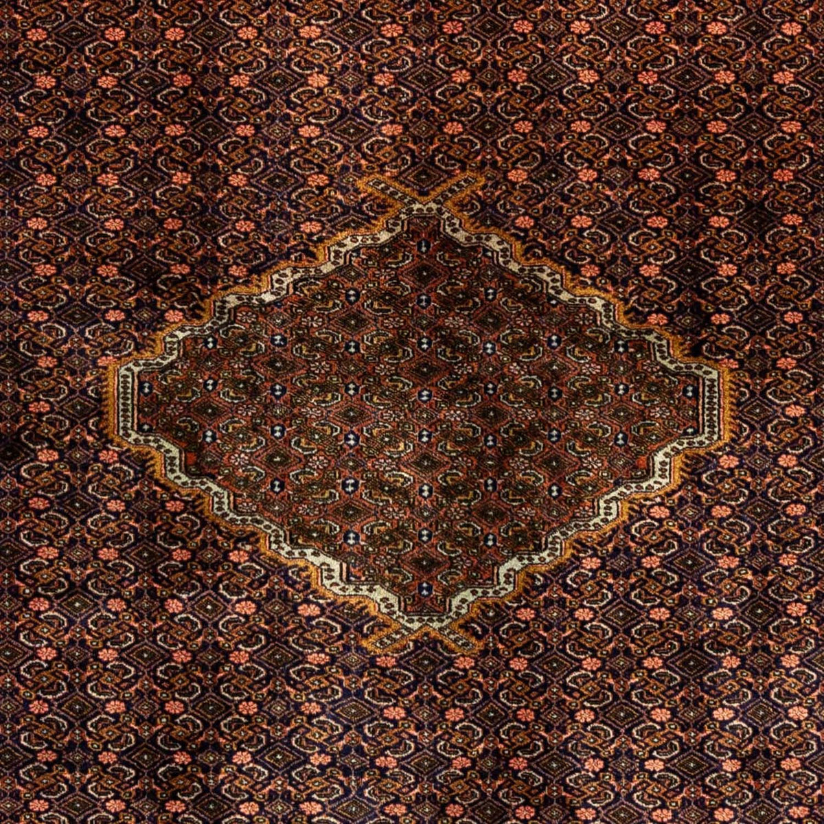 Perserteppich - Nomadic 273 x 210 cm