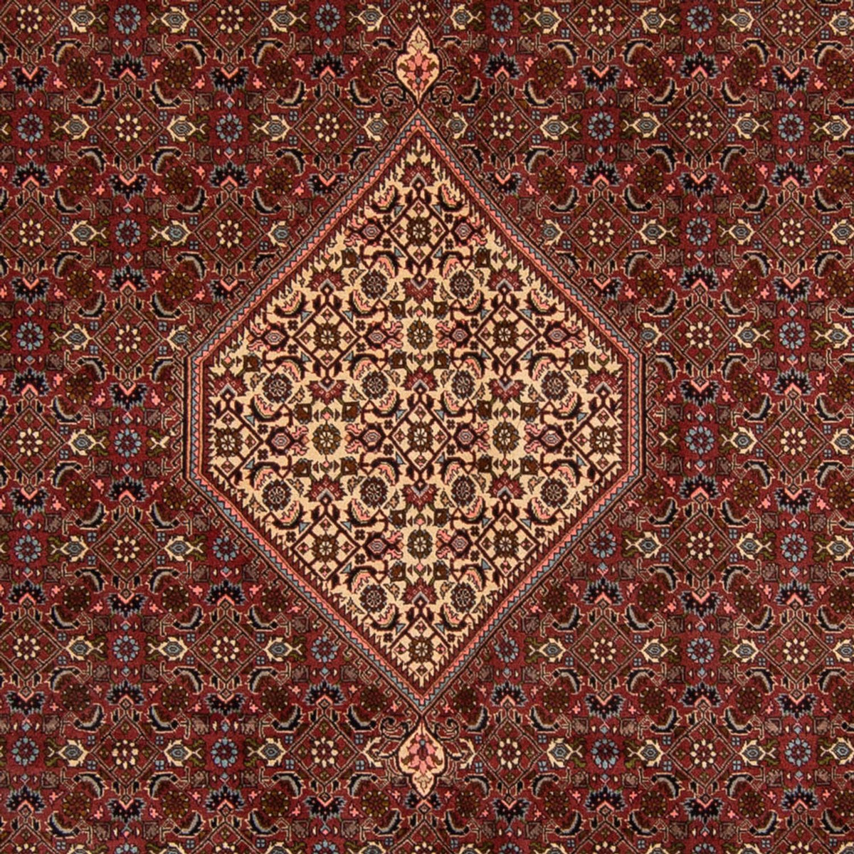 Perserteppich - Bidjar 356 x 243 cm
