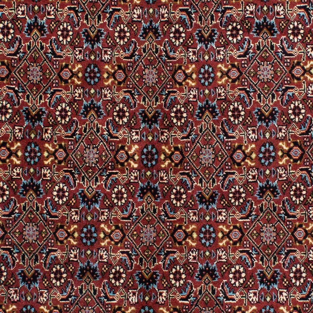 Perserteppich - Bidjar 210 x 139 cm