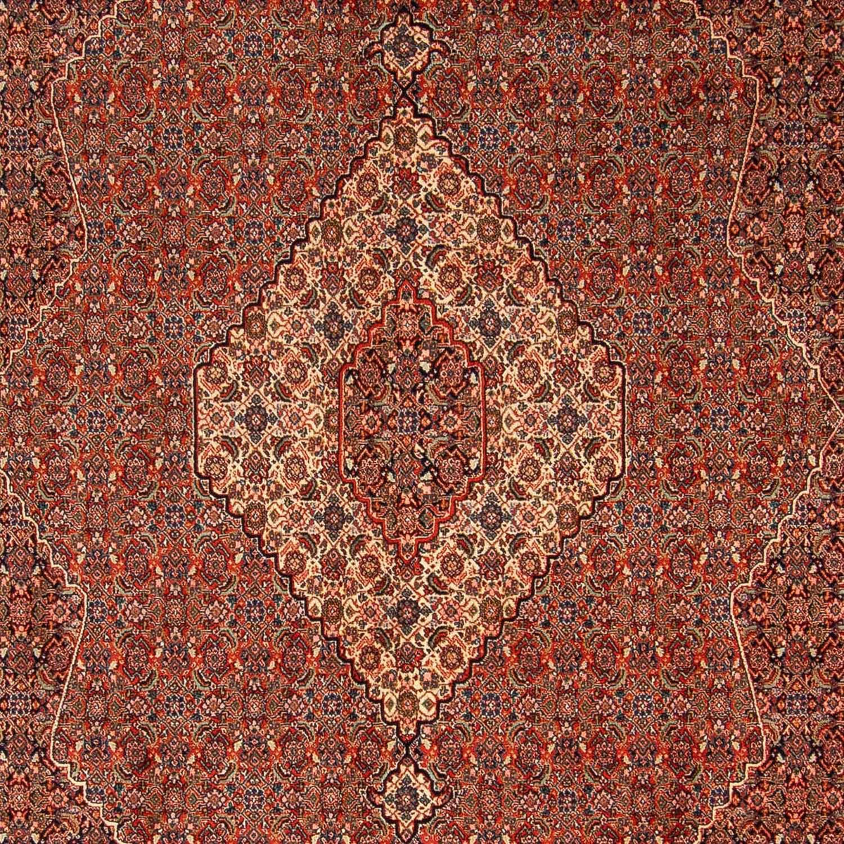 Perserteppich - Nomadic 350 x 248 cm