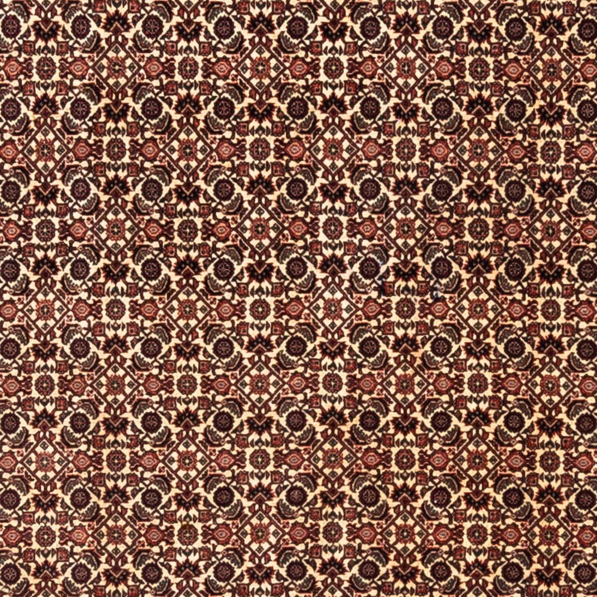 Perserteppich - Bidjar - Royal 287 x 208 cm