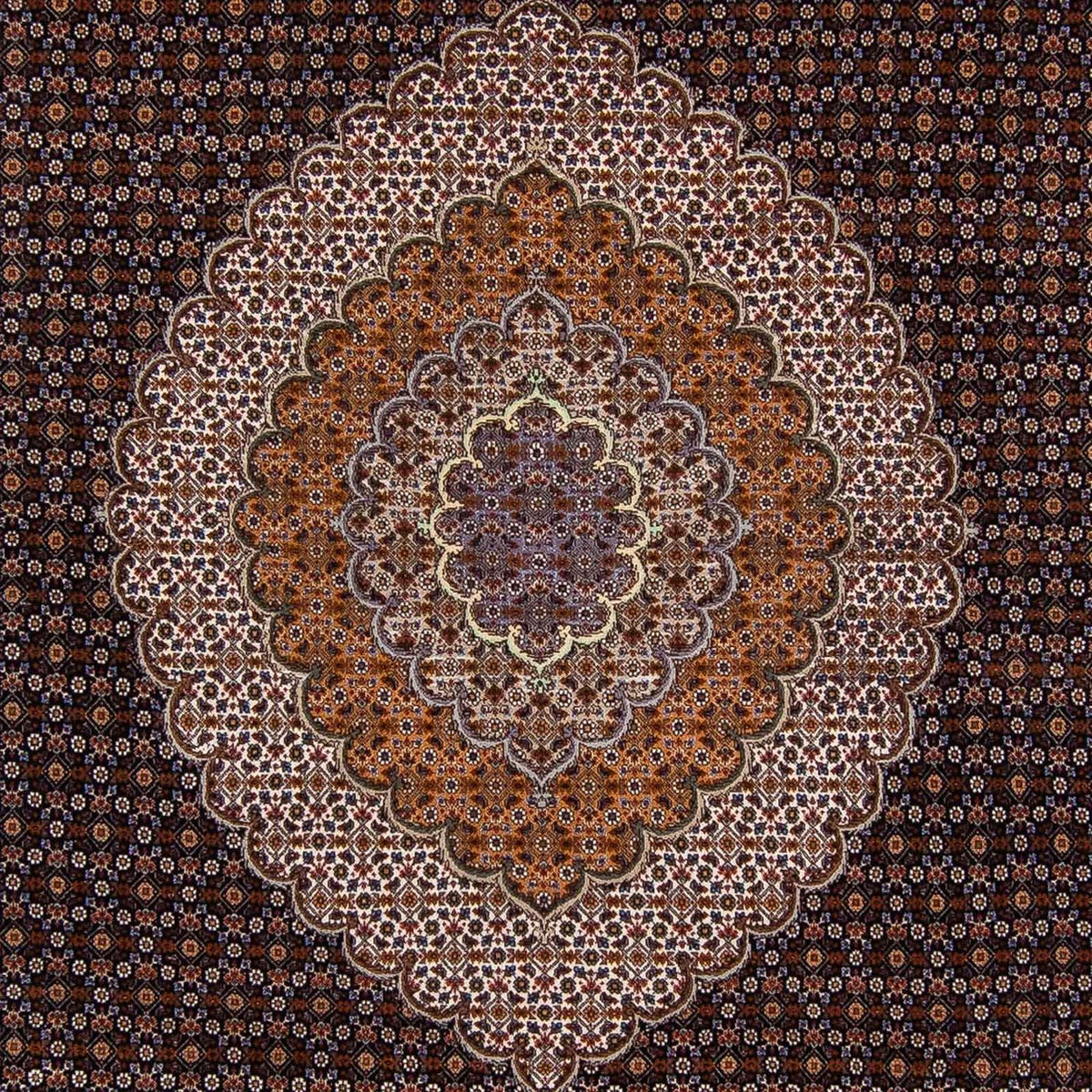 Perserteppich - Täbriz 340 x 255 cm