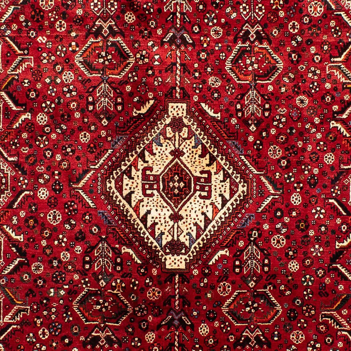 Perserteppich - Nomadic 267 x 192 cm
