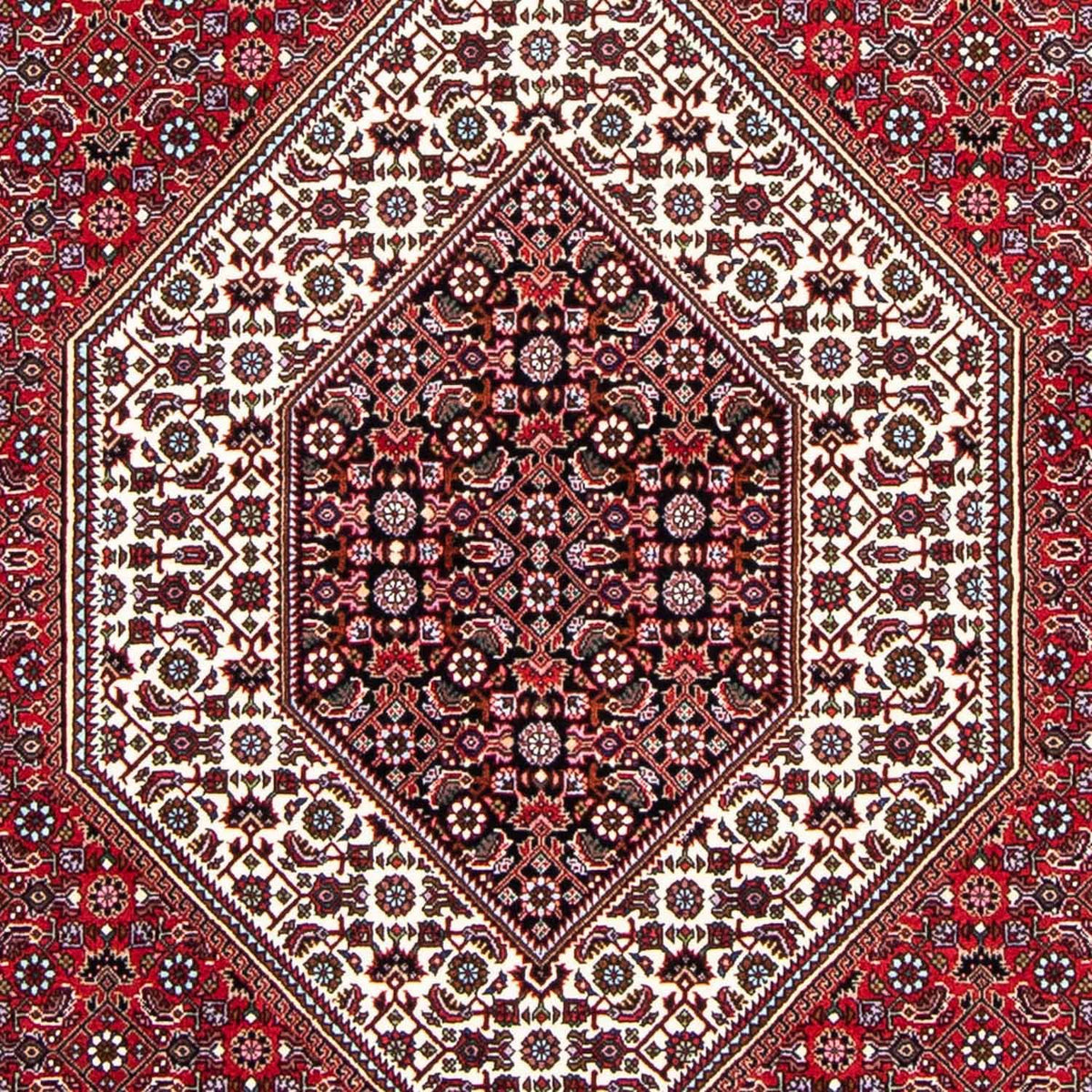 Perserteppich - Bidjar 250 x 149 cm
