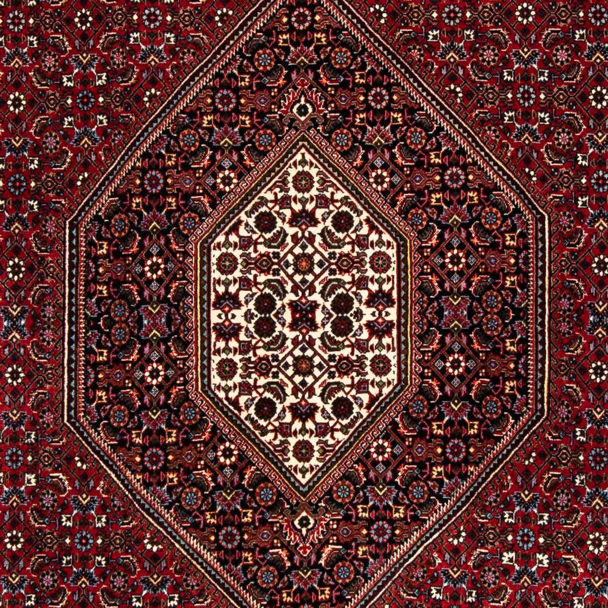 Perserteppich - Bidjar 248 x 148 cm