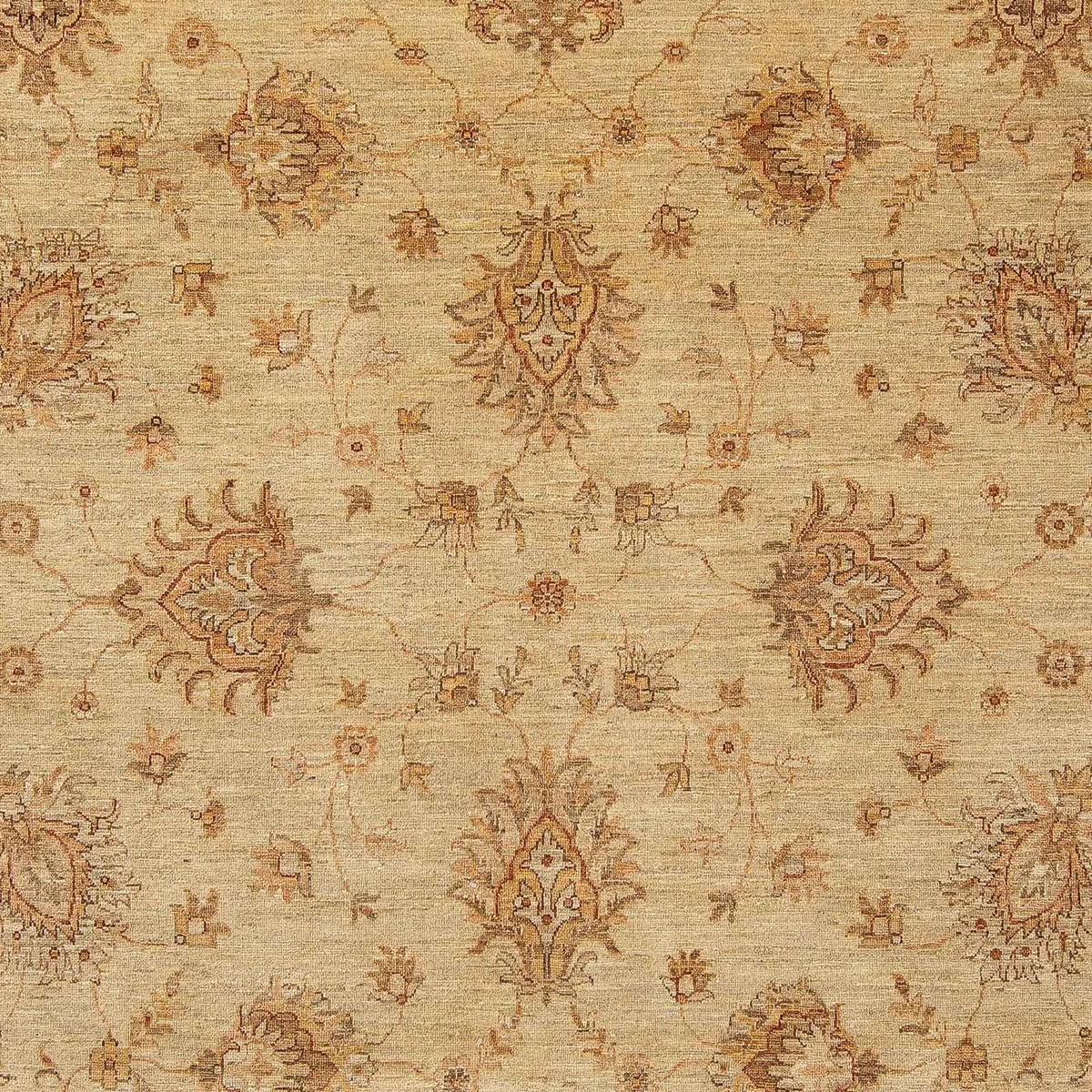 Ziegler Teppich 293 x 244 cm