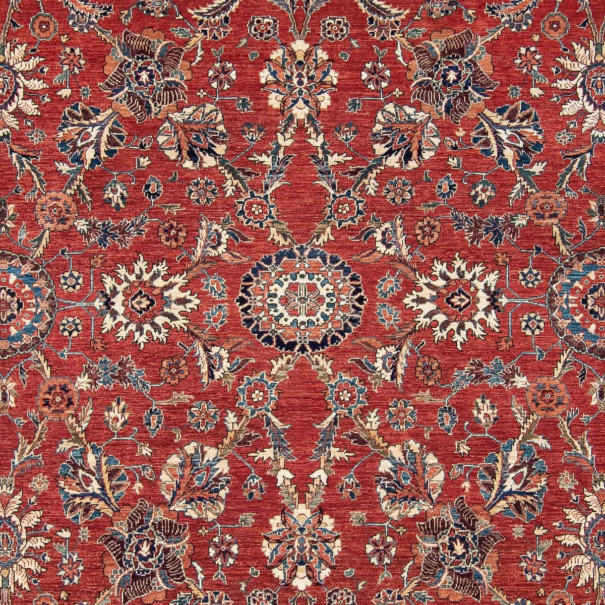 Ziegler Teppich - Ariana 296 x 243 cm