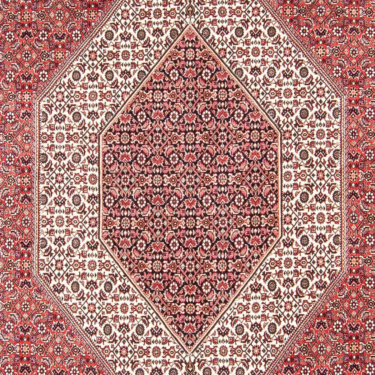 Perserteppich - Bidjar 318 x 251 cm