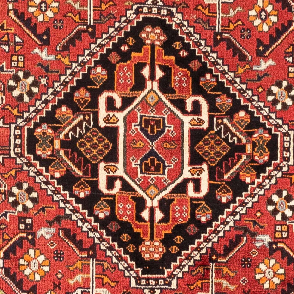 Perserteppich - Nomadic 252 x 163 cm