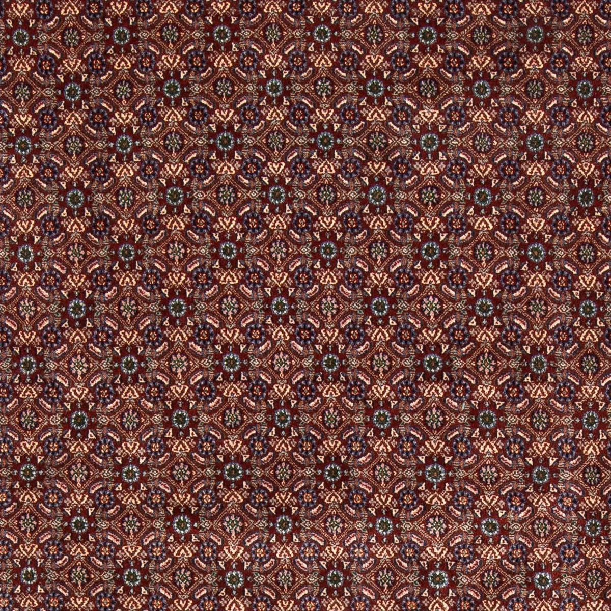 Perserteppich - Classic 197 x 196 cm