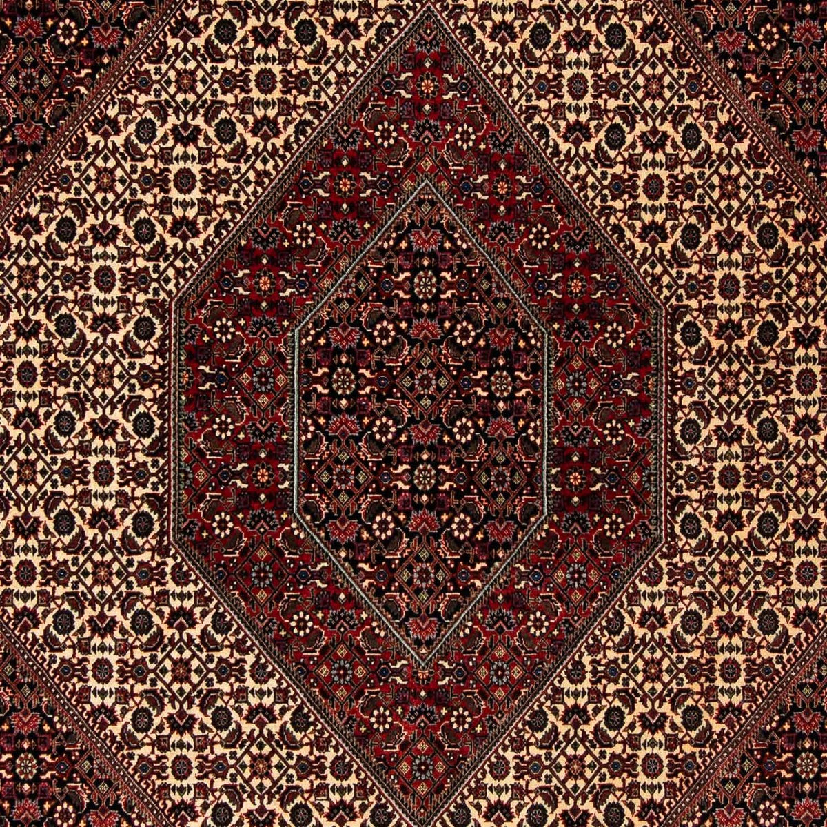 Perserteppich - Bidjar 248 x 202 cm