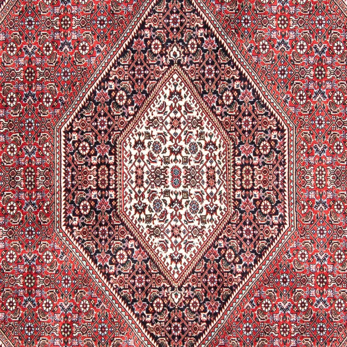 Perserteppich - Bidjar 237 x 168 cm