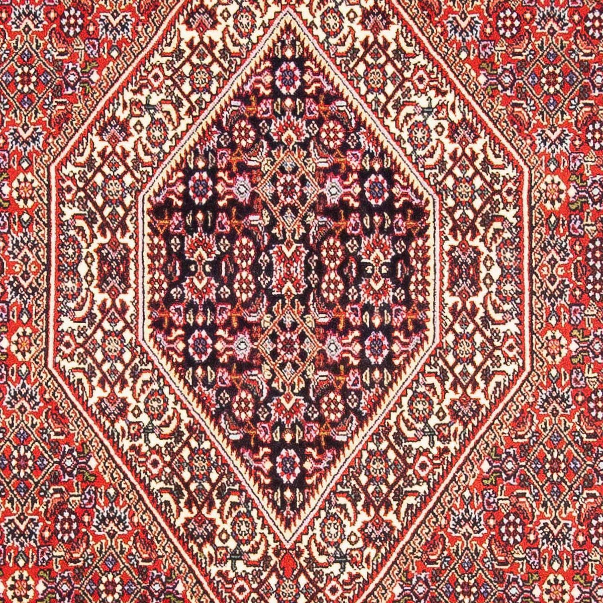 Perserteppich - Bidjar - Royal 182 x 112 cm