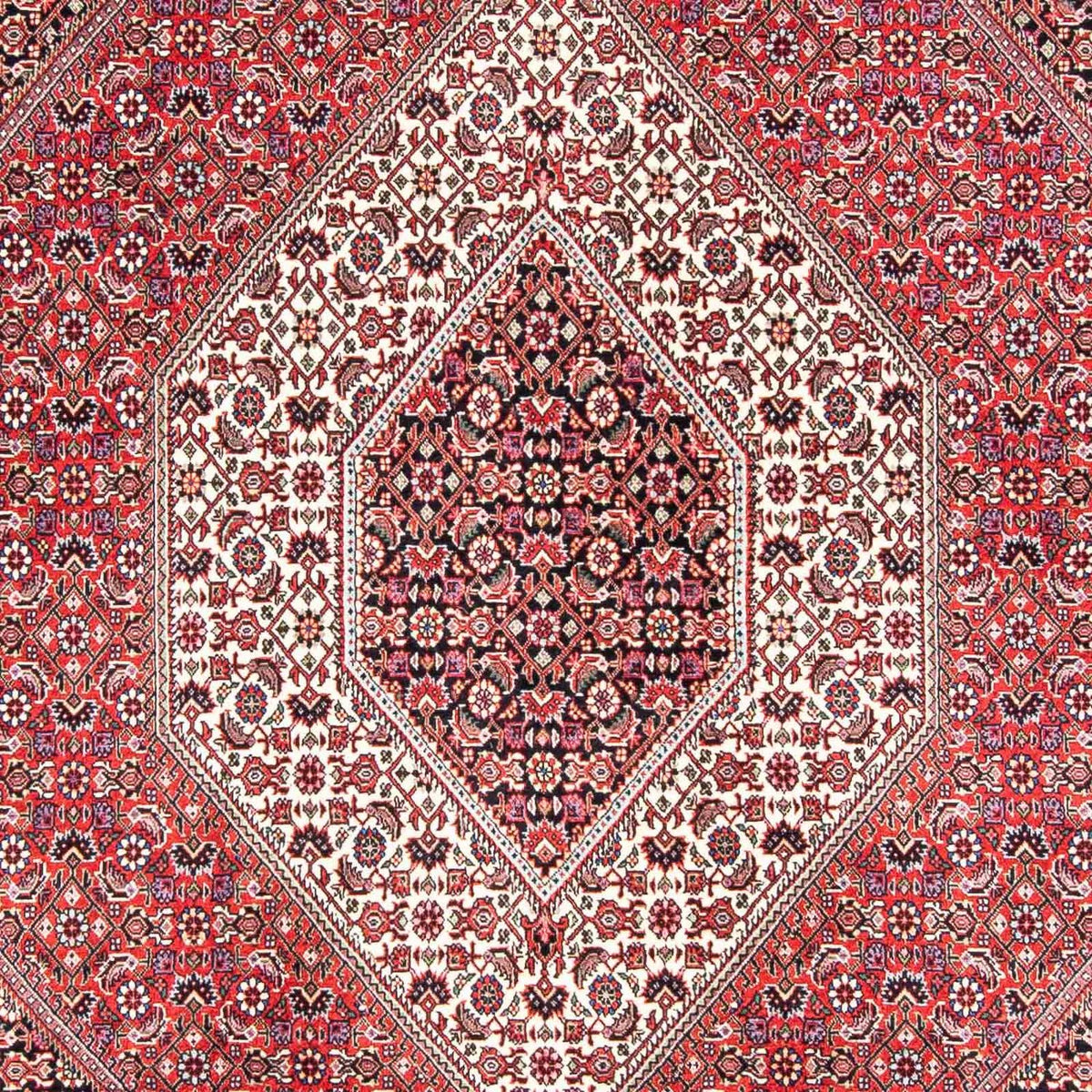 Perserteppich - Bidjar 243 x 171 cm