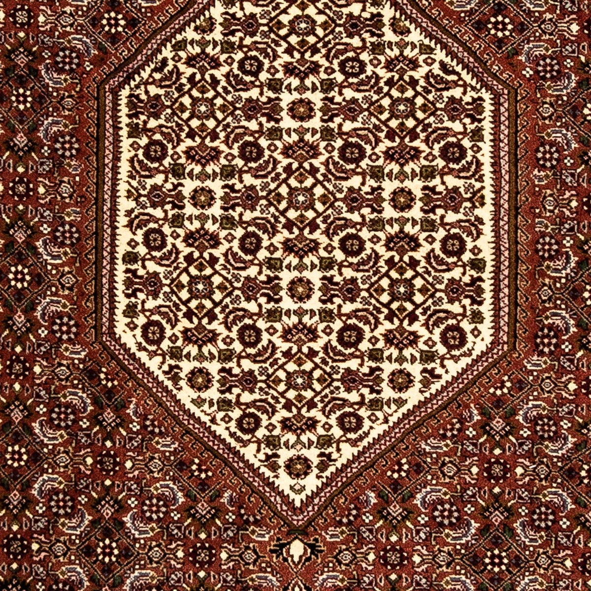 Perserteppich - Bidjar 273 x 87 cm