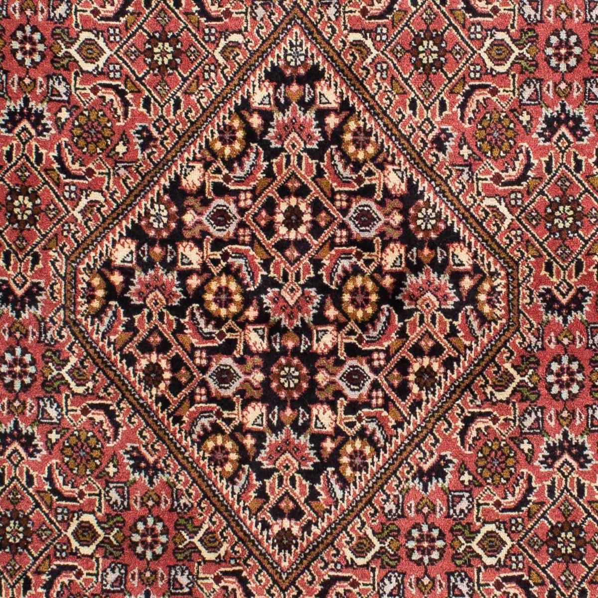 Perserteppich - Bidjar 227 x 137 cm