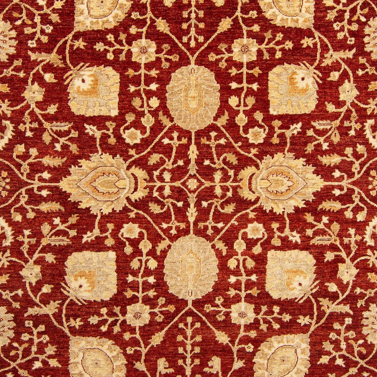 Ziegler Teppich 343 x 248 cm
