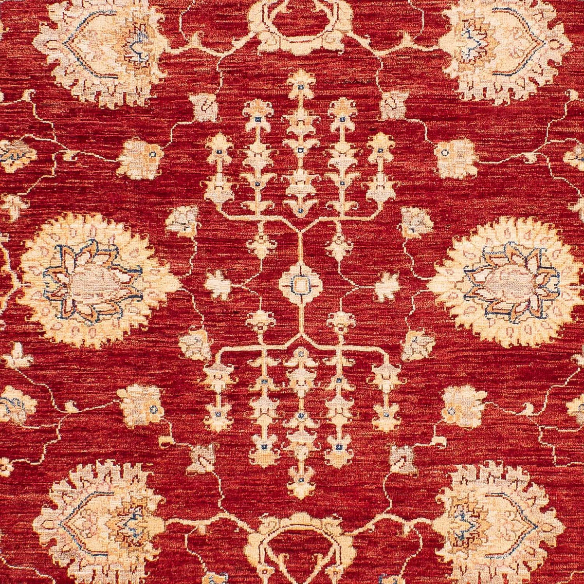 Ziegler Teppich 218 x 169 cm
