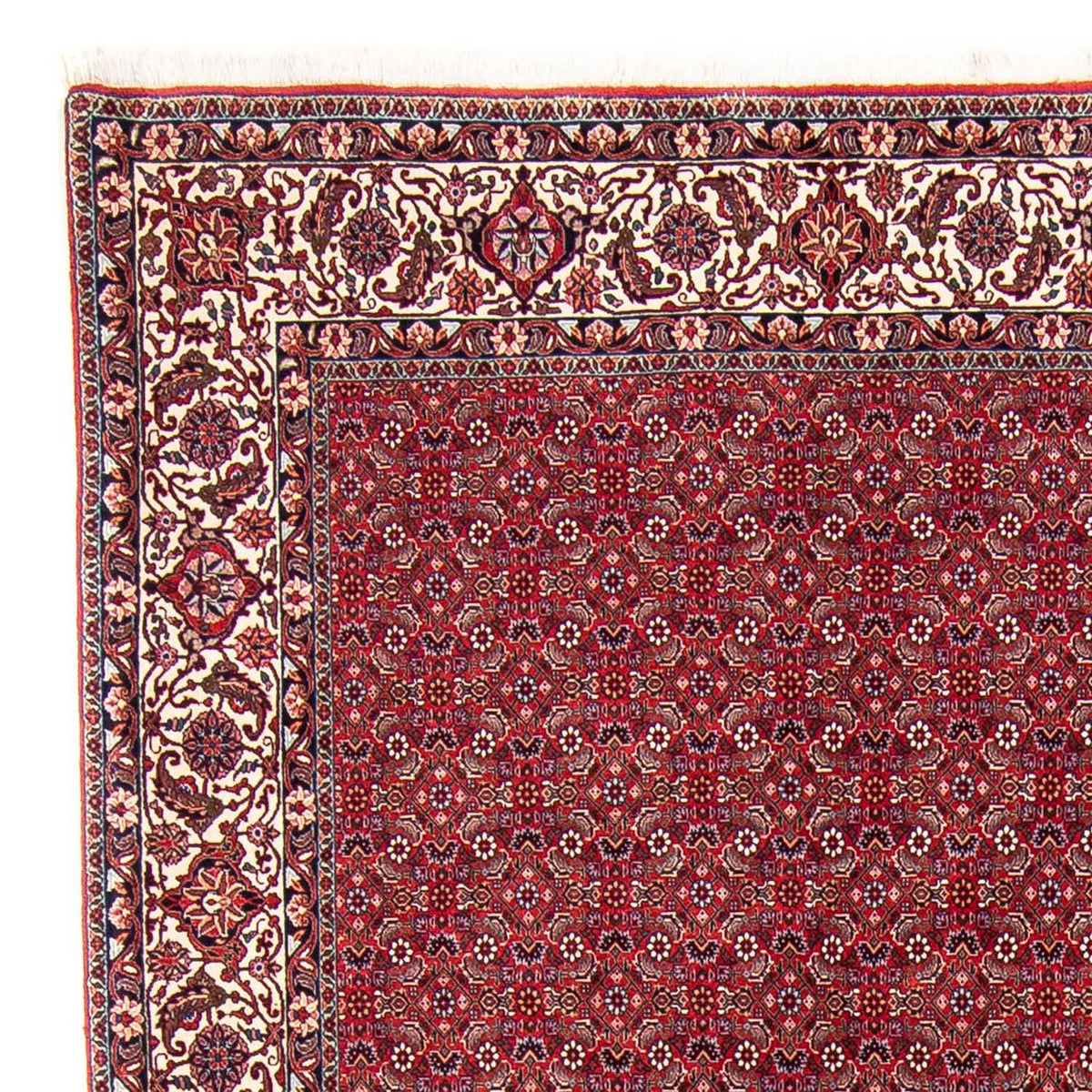 Perserteppich - Bidjar 297 x 247 cm Wohnzimmer Teppich