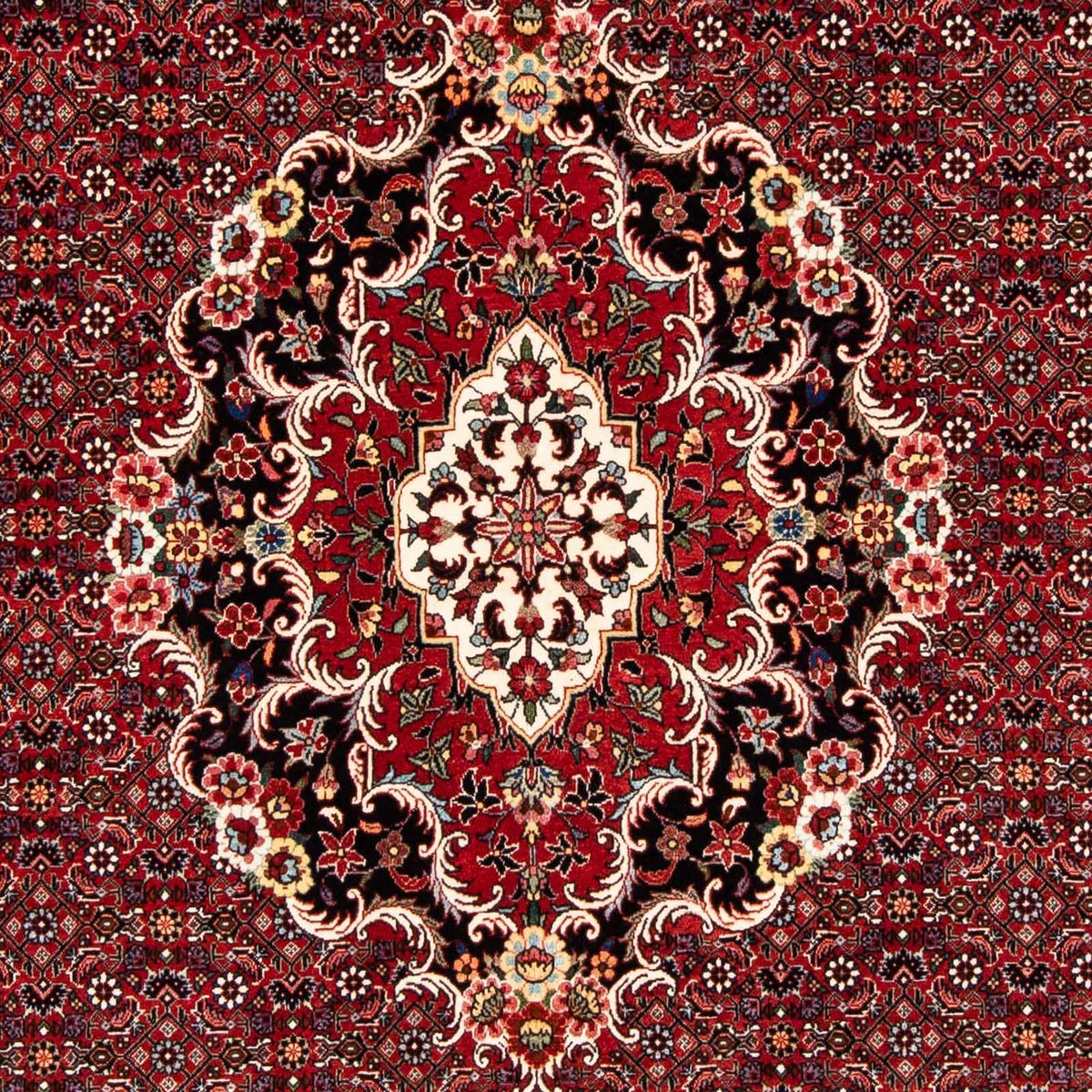 Perserteppich - Bidjar 229 x 172 cm