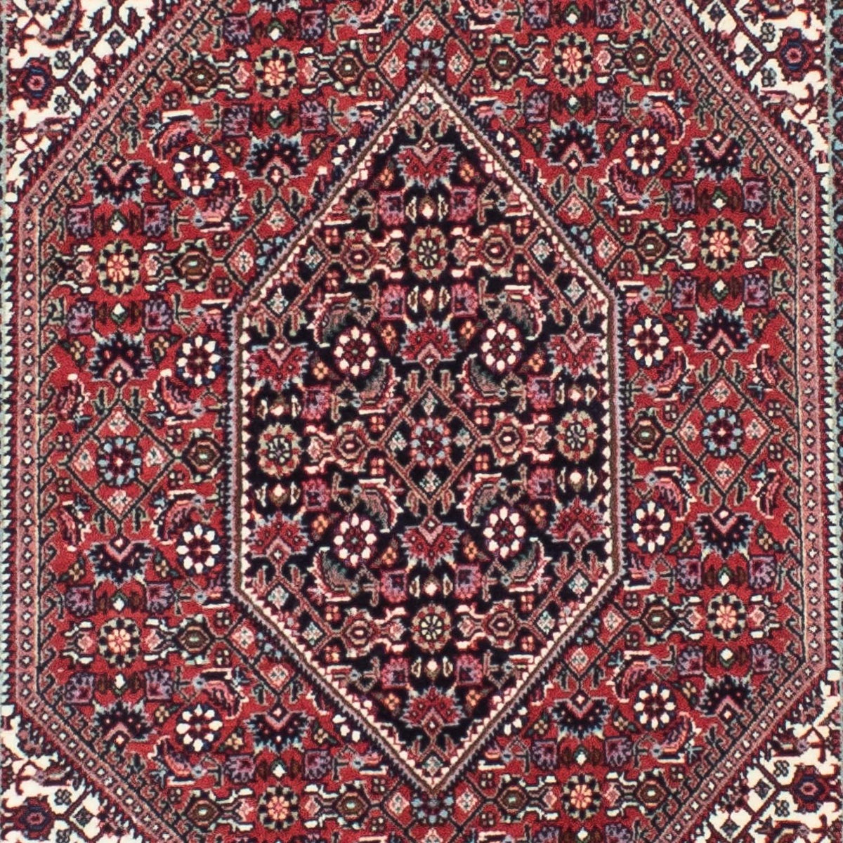 Perserteppich - Bidjar - Royal 316 x 82 cm