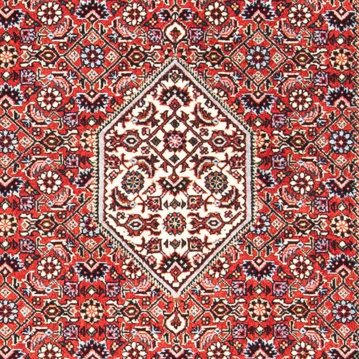 Perserteppich - Bidjar - Royal 140 x 83 cm