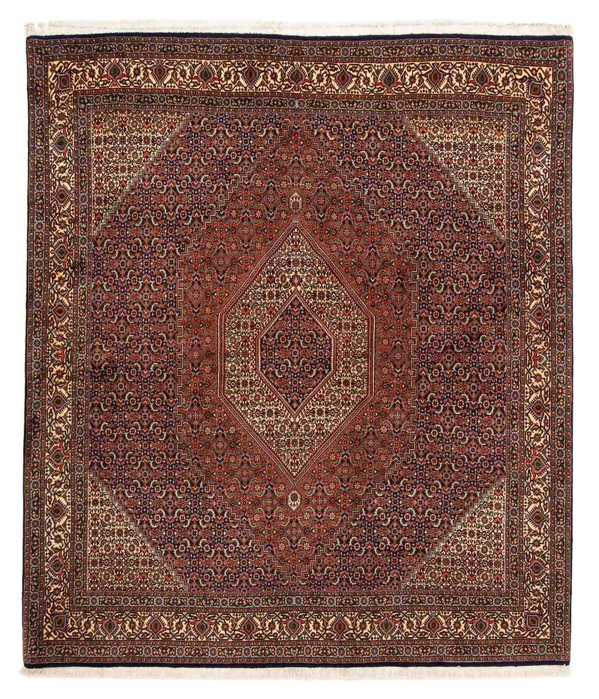 Perserteppich - Bidjar 222 x 203 cm