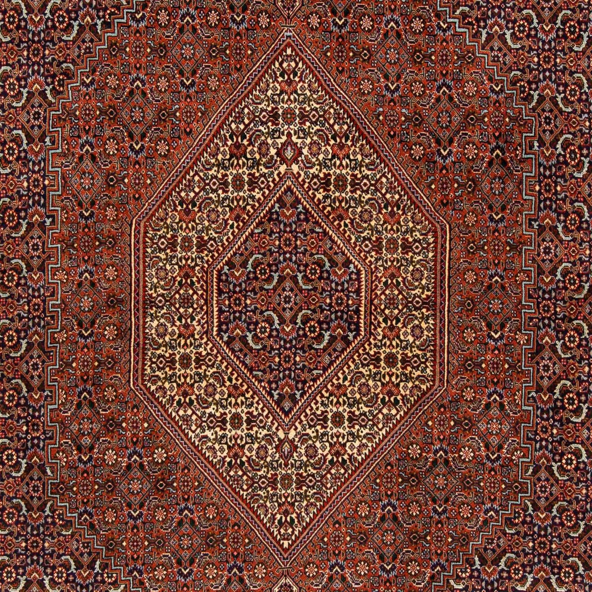 Perserteppich - Bidjar 222 x 203 cm