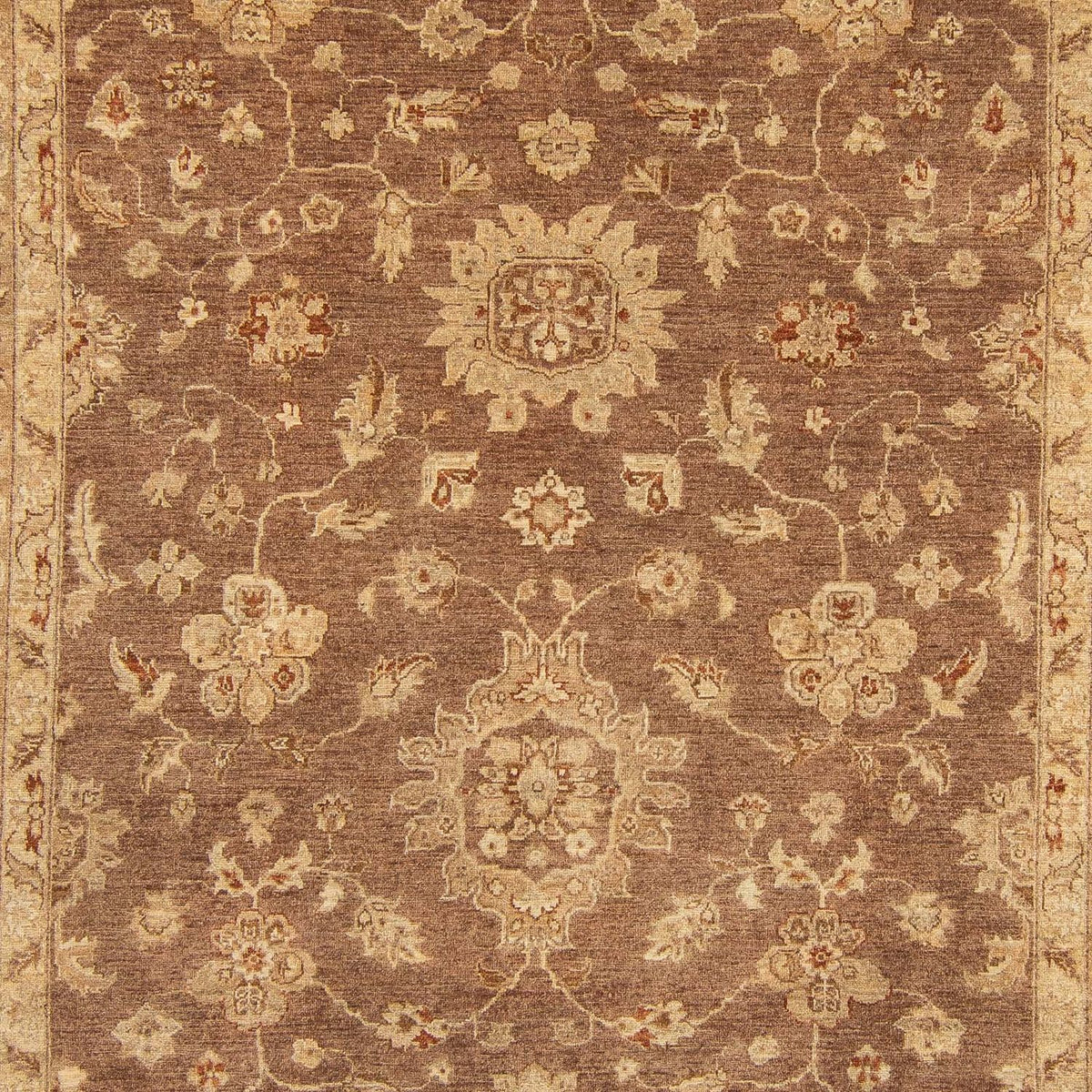 Ziegler Teppich 369 x 270 cm